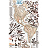 Theme Maps