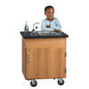 Mini Mobile Sink with Storage Cabinet
