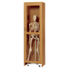 Locking Skeleton Cabinet