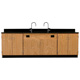 Door Cabinet