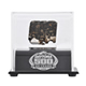 NASCAR Racing Surface Display Case