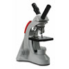 T-19021C Comprehensive Scope 2