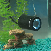 Camera Microscopes