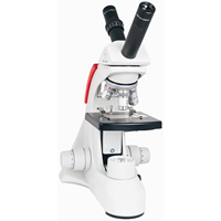 T-19021C Comprehensive Scope 2