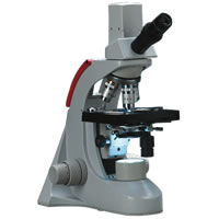 T-19541C Digital Comprehensive Scope 2