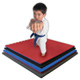 Jumbo Reversible SoftFloors Flooring Sets