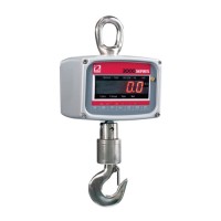 Crane Scales