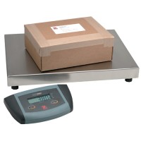 ES Series Bench Scales