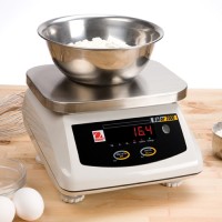 Valor 2000 Washdown Scales