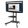 TouchIT&trade; Interactive LCD Mobile Stand