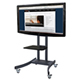 TouchIT™ Interactive LCD Mobile Stand