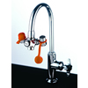EyeSafe&trade; Faucet - Mounted Eyewash