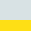 Canary Yellow