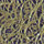Color - Beige