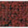Deck Carpet Color - Red