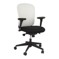 Ergonomic Office Chairs