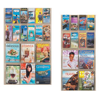 Reveal&trade; Magazine and Pamphlet Displays