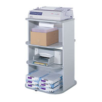 Rotating Double Printer Stand