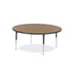 Round Shaped Activity Table