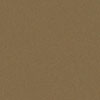 Golden Bronze