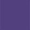 Purple Iris