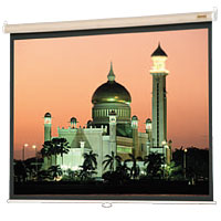 Da-Lite Designer Model B Manual Projection Screen