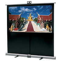 Da-Lite Theater-Lite Projection Screen