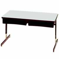 7950 Series Two-Student Desks