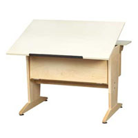 Desktop Model - No Accessories