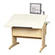 Desktop Model - Flat Panel Arm