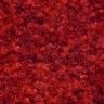 Color - 101 - Red/Black