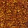 Color - 102 - Browntone