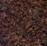 Color - 126 - Autumn Brown