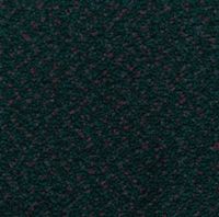 Color - 262 - Forest Green