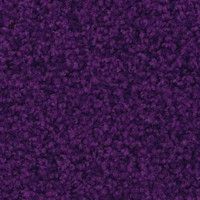 Colors - 407 - Purple