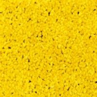 Colors - 425 - Yellow