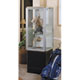 Prominence Spotlight 447 Series Aluminum Frame Display Case with Built-in Lighting