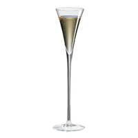 Amplifier Classics Collection Sparkling Wine Glasses