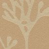 View all Branches