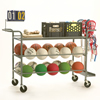 Phys-Ed Carts
