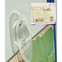 Board Accessories