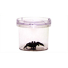 Critter Canister