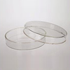 Glass Petri Dish