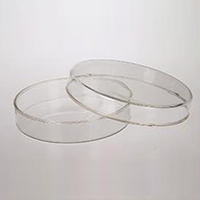Petri Dish, 100mm Diameter, 120 pieces