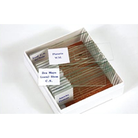 Biology Prepared Slide Set