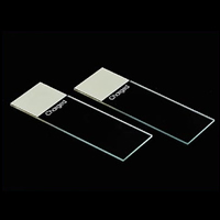 Premiere® Charged Slides