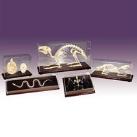 Educational Specimens