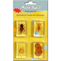 Bug Blocks Set #2
