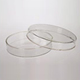 Glass Petri Dish