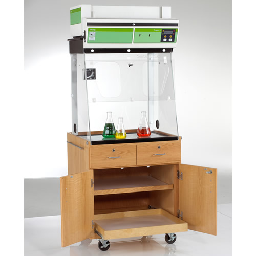 Mobile Fume Hood Station